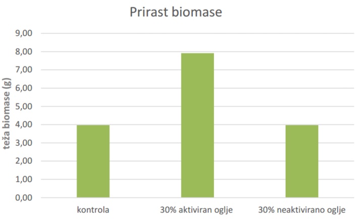 Razlika v prirasti biomase med kontrolno skupino, aktiviranim bioogljem in surovim/neaktiviranim bioogljem.